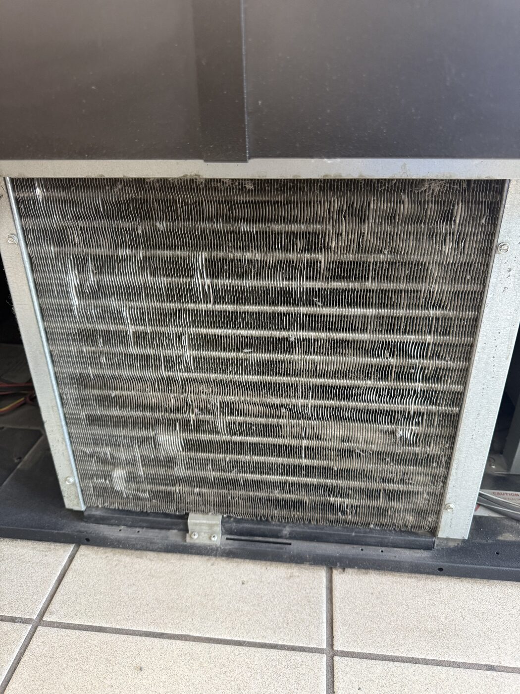 Cleaned aluminum condenser coil fins on a commercial refrigerator after service