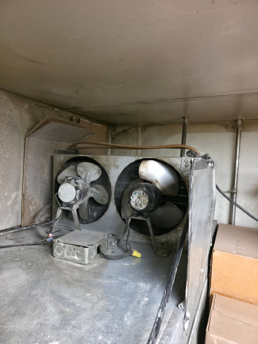 Dual-fan walk-in evaporator coil unit with exposed fan motors and electrical junction box inside a walk-in box