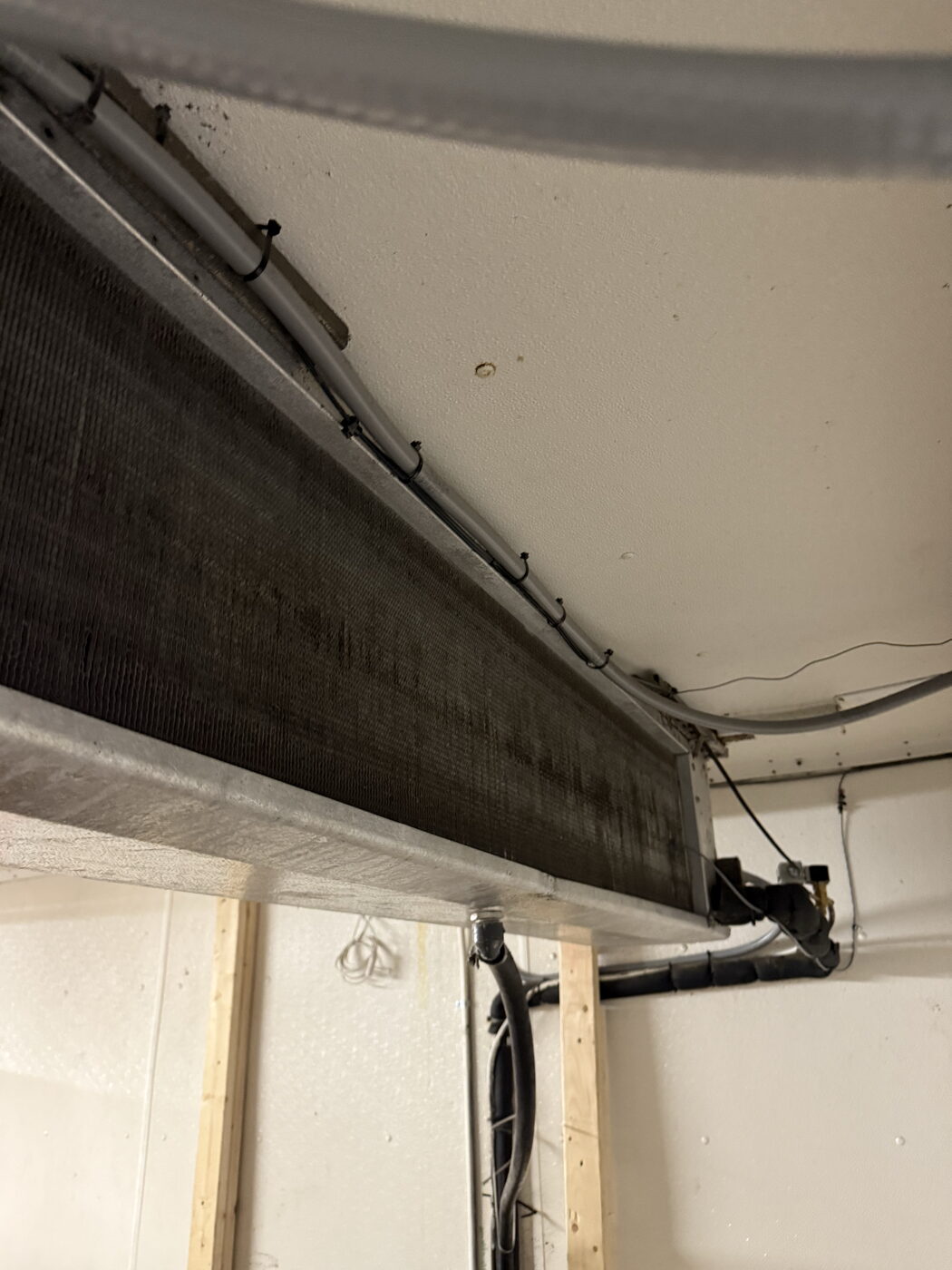 Dirty ceiling-mounted evaporator coil inside a walk-in cooler needing cleaning service